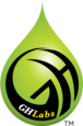 GH Labs logo