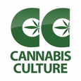 Cannabis Culture - Davie St logo