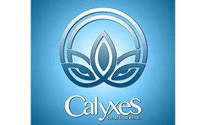 Calyxes Dispensary