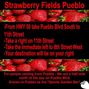 Strawberry Fields - Pueblo Central photo
