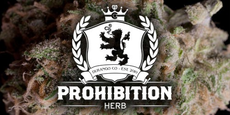Prohibition Herb logo
