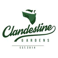 Clandestine Gardens logo