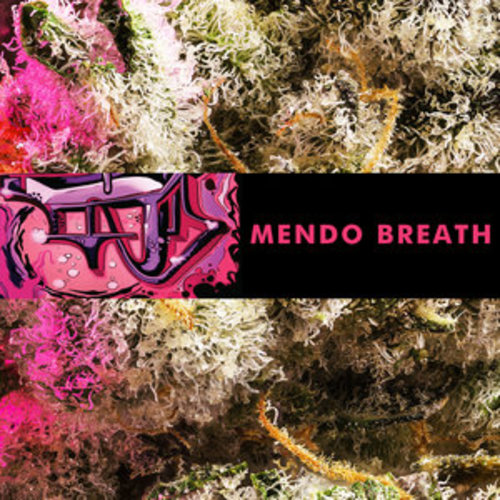Mendo Breath image