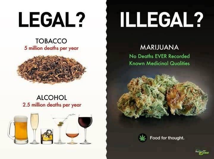 Two Simple Reasons to Legalize Cannabis Leafbuyer