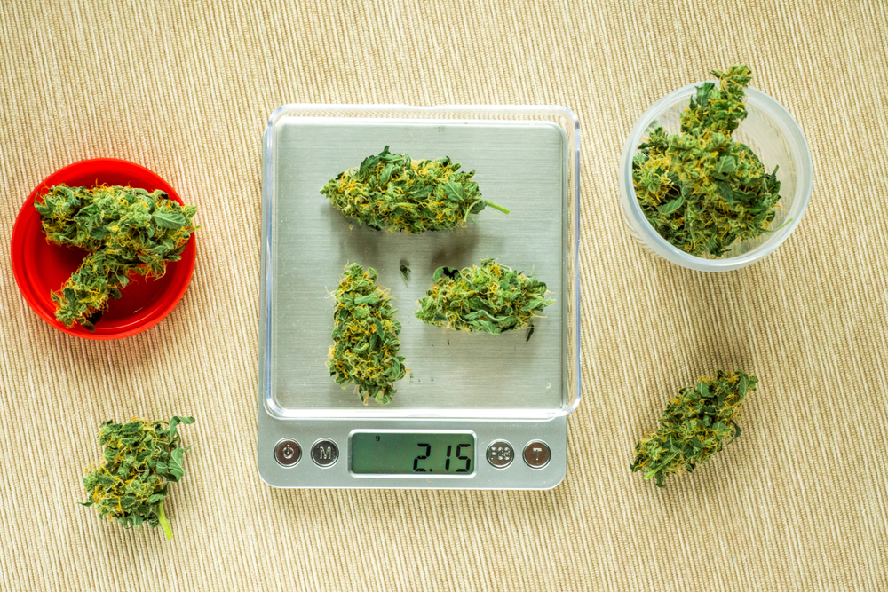 Measuring Weed Learn About Grams Ounces And Pounds Leafbuyer