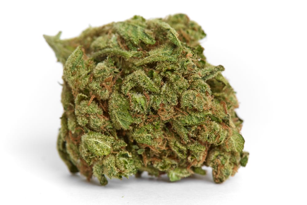 How long does marijuana stay in your saliva leafbuyer