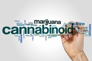 Marijuana Vocabulary Test
