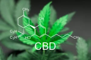 CBD in Weed