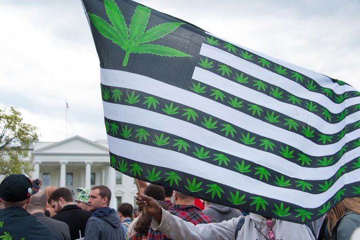 American Weed Flag White House_Rena Schild American Weed Flag White House_Rena Schild