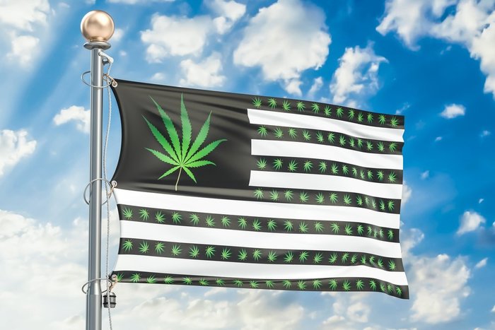 American Weed Flag editorial_AlexLMX American Weed Flag editorial_AlexLMX