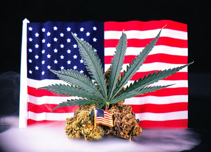 American flag and weed_Roxana Gonzalez American flag and weed_Roxana Gonzalez