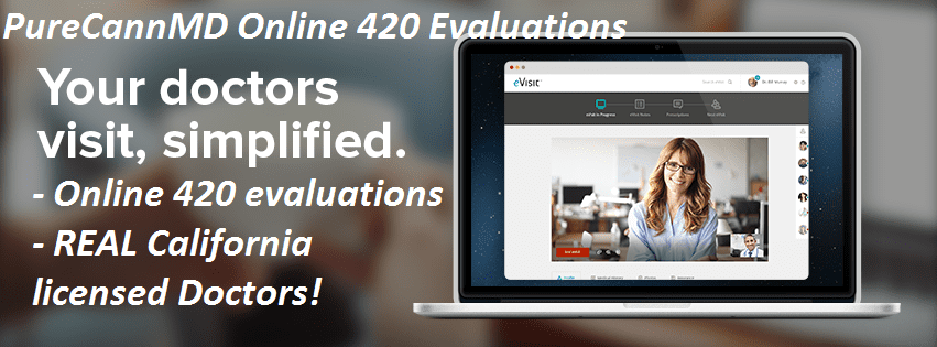 Banner Ad