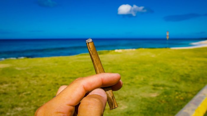 Holding Blunt by the Ocean Holding Blunt by the Ocean