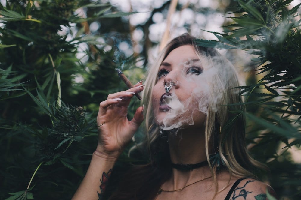 Девушки курят марихуану фото конопля в лесу фото