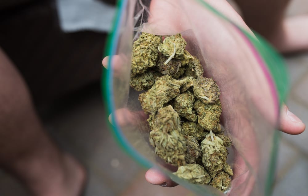 How Many Grams Are In An Ounce Pound Leafer Ziplock Bag Of An Ounce