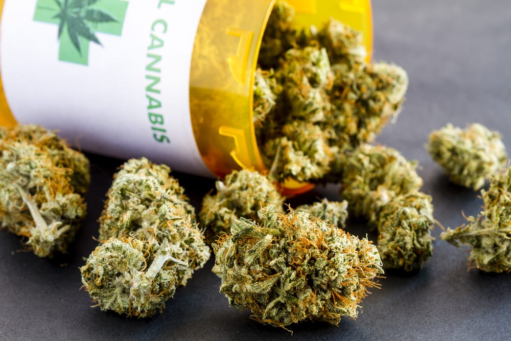 How to Read a Dispensary Label | Leafbuyer