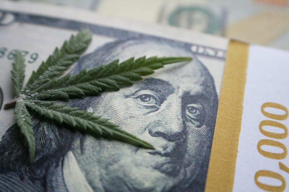 Books on investing in hemp Books on investing in hemp ml meaning betting