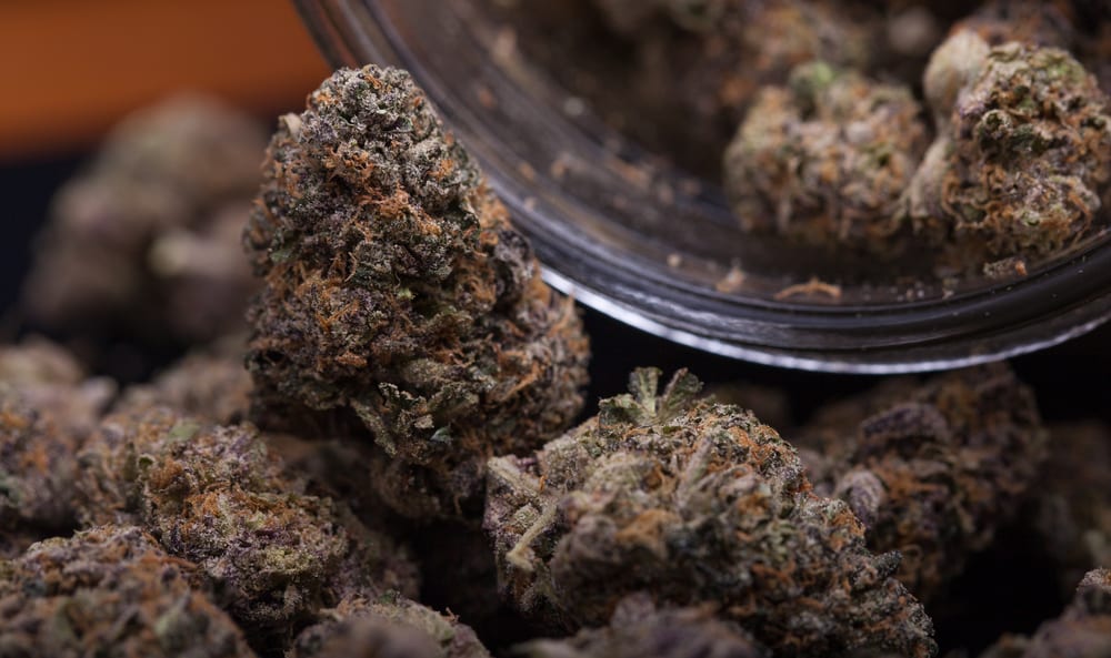 Newly Opened Trees Dispensary in Englewood, Colorado Leafbuyer