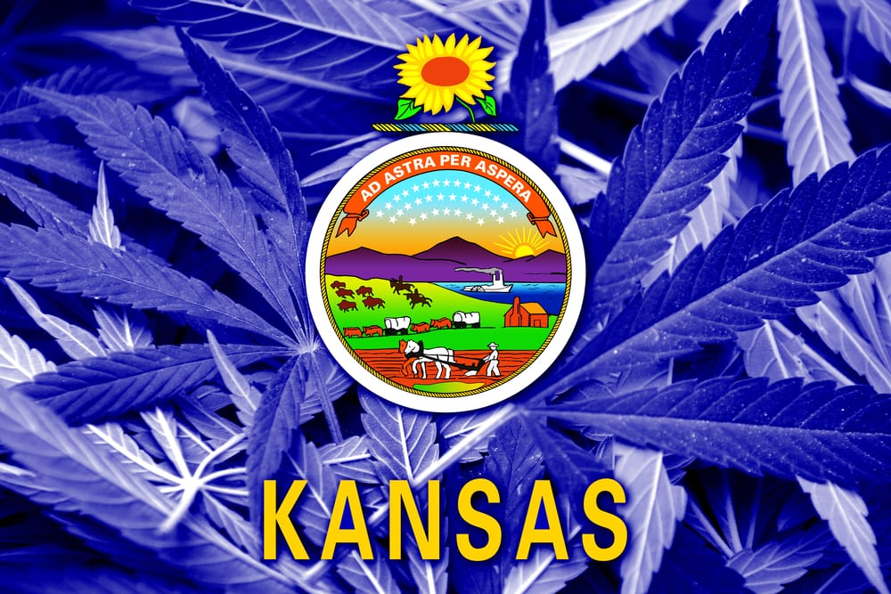 Kansas Could Soon Legalize Pot Leafbuyer