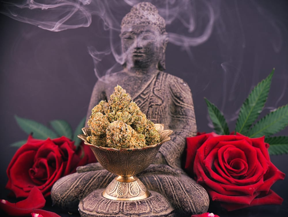 Буддизм о конопле конопля цветы