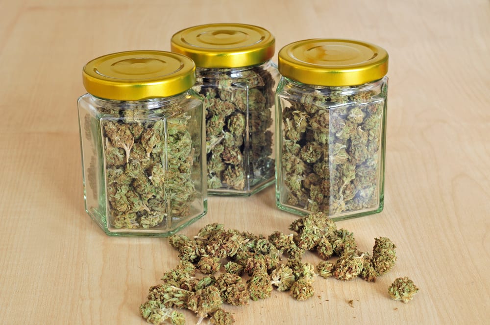 Three Tips to Store Weed and Keep it Fresh | Leafbuyer