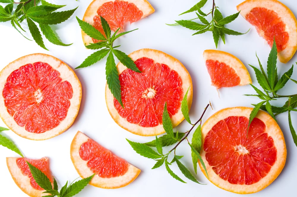 Top 10 Citrus Strains to Start Your Saturday Morning Leafbuyer