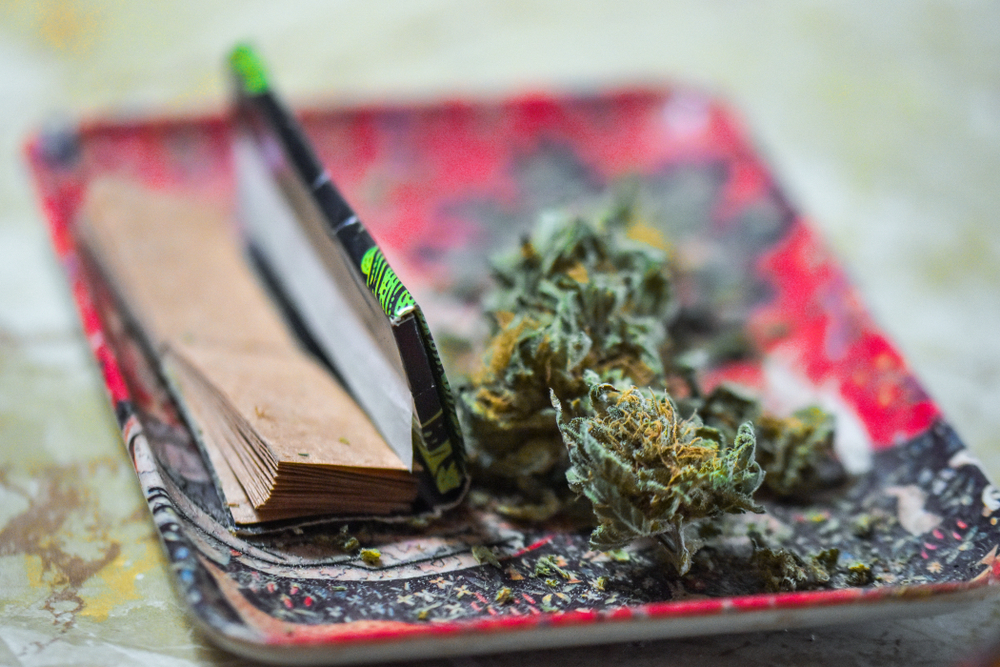The Best Rolling Trays You've Never Seen Leafbuyer