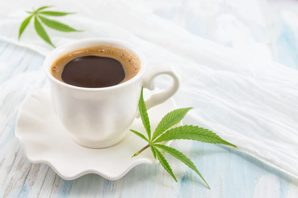 Common Grounds Between Coffee and Weed Leafbuyer