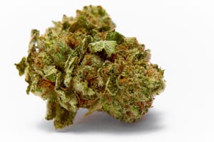 image of sour diesel bud on a white background