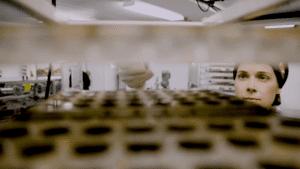 image of chocolatier at coda putting chocolates on a tray