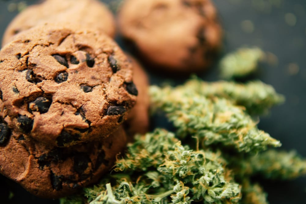 3 Pot Cookie Recipes To Make All Year Long Leafbuyer