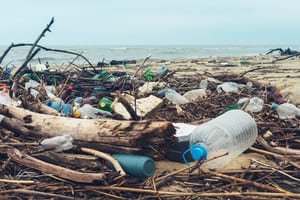 image of a garbage-covered beach with plastic water bottles and other discarded plastic by a branch and in the sand by the water