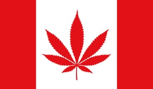 image of canadian flag with a pot leaf replacing the normal leaf