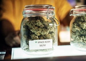 image of marijuana in a jar on the counter at a dispensary, with a budtender in the background