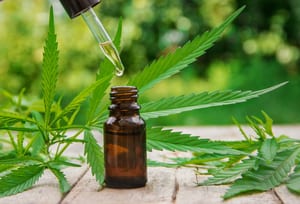 image of a marijuana tincture on a rugged wood table with marijuana leaves around it