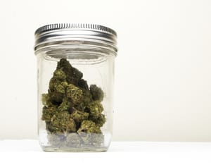 image of a glass mason jar with marijuana buds inside. showing the best way to store marijuana flower is in an air-tight glass jar