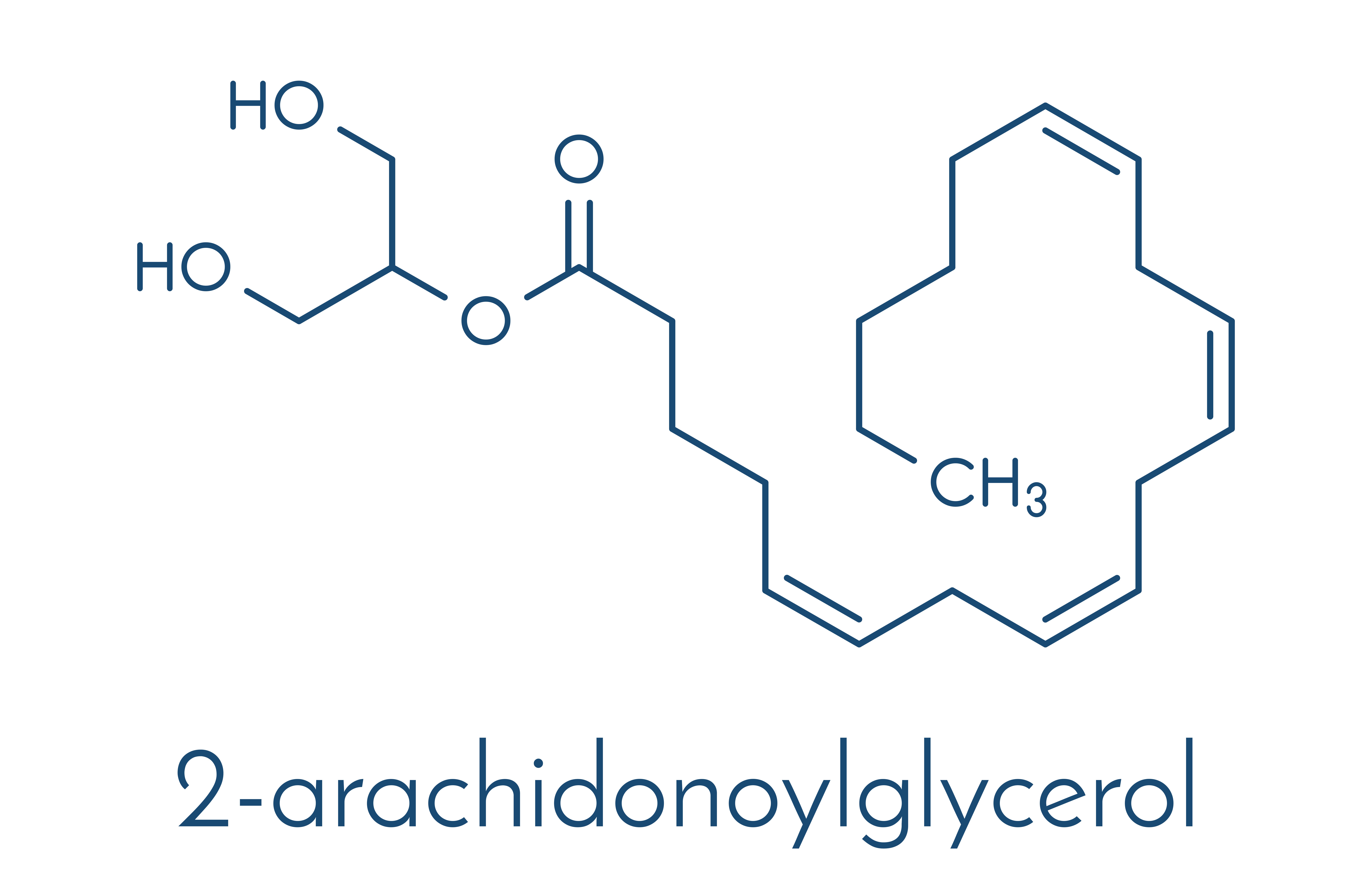 molecular structure of 2-arachidonoylglycerol 