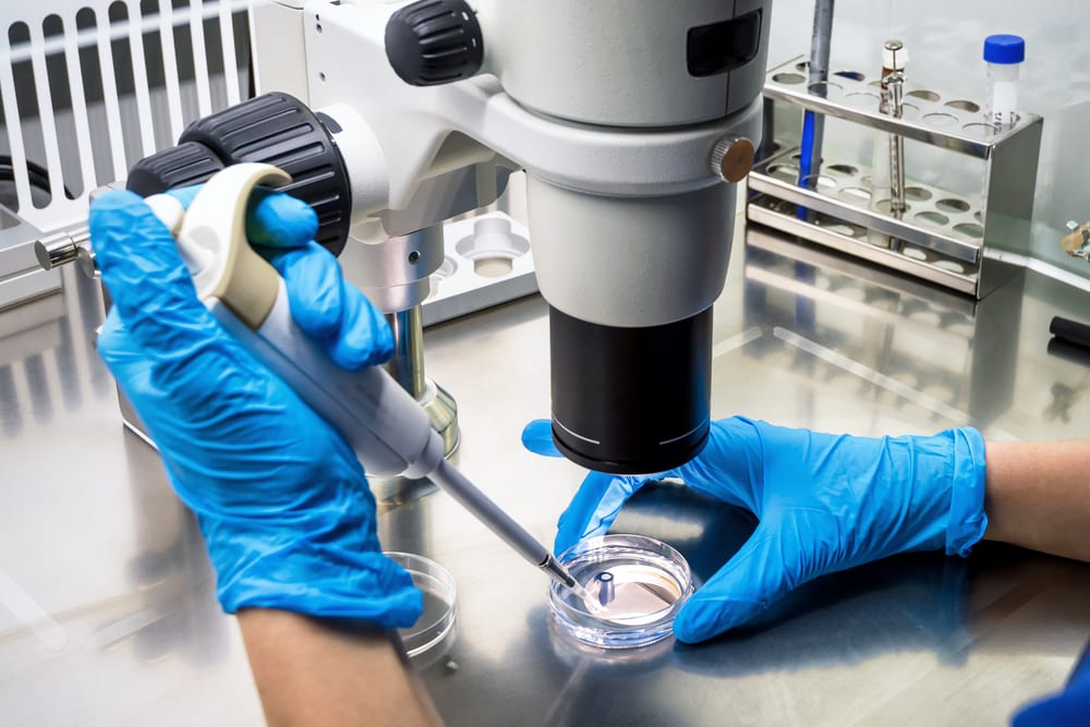 researcher examining specimens, cancer research will involve marijuana in the future