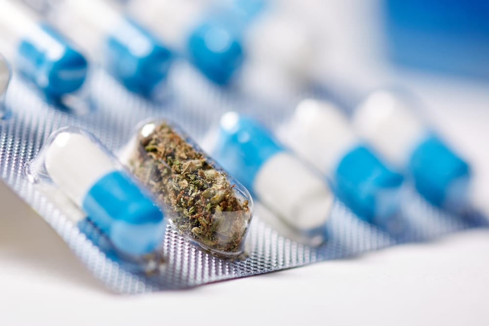 cannabis flower in a pill container with other pills, showing that marijuana could help kill cancer cells