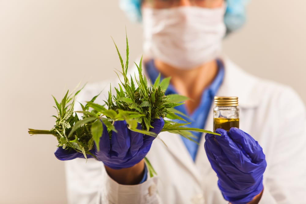 doctor holding marijuana leaves and oil