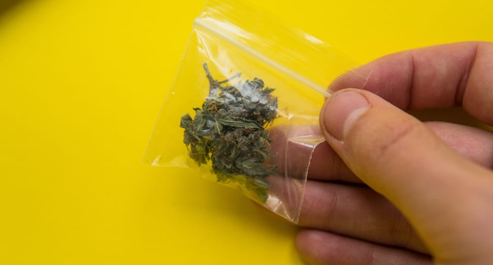 Does Weed Go Bad? That Depends on a Few Things Leafbuyer