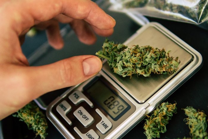 Marijuana 101 What Is A 18th Of Weed Leafbuyer