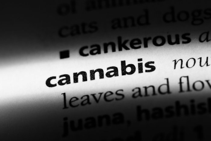 The Weed Dictionary: Stoners' Slang Explained