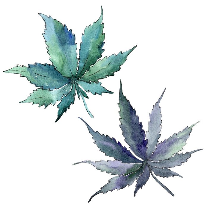 Cannabis Tattoo Merch & Gifts for Sale | Redbubble