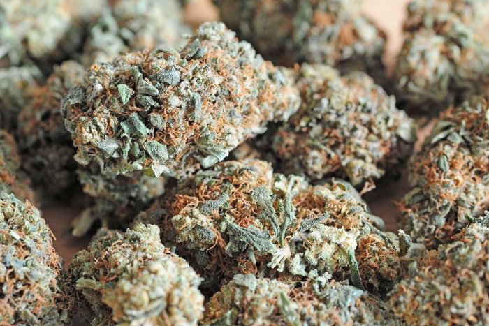 1970's Marijuana Strains: Where Are They Now? | Leafbuyer