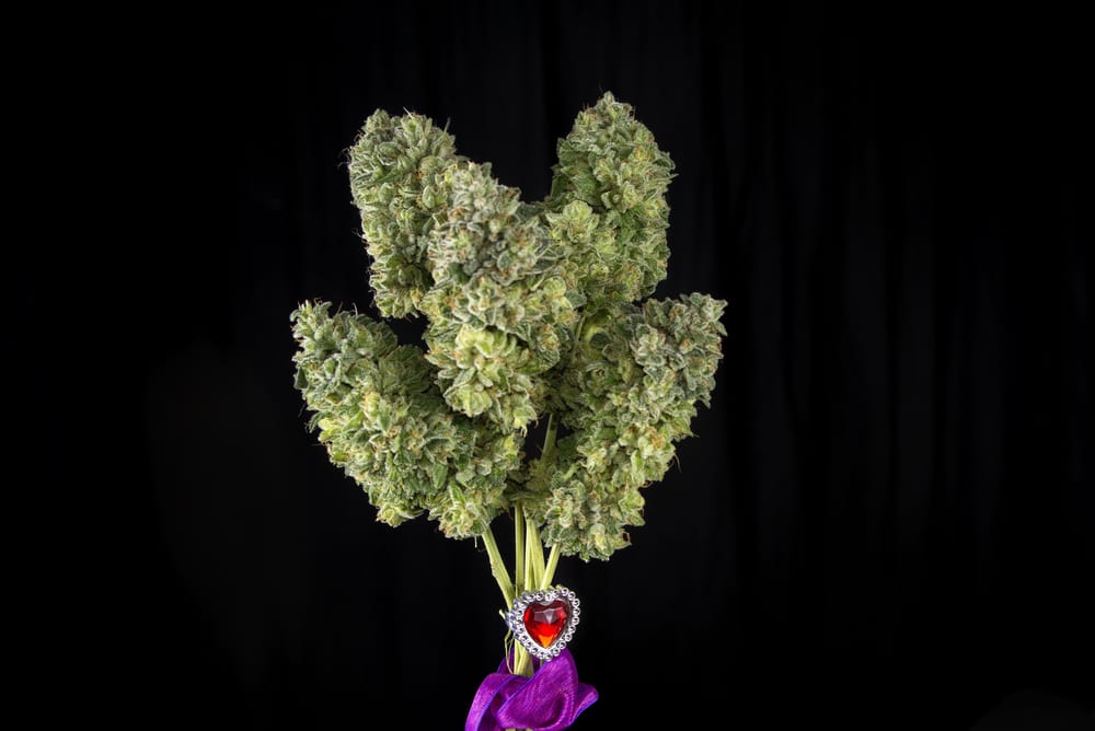 Marijuana Bouquets and Puns for A Cannabis Valentine's | Leafbuyer