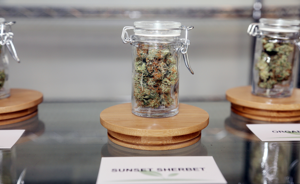 jars of cannabis in california dispensary