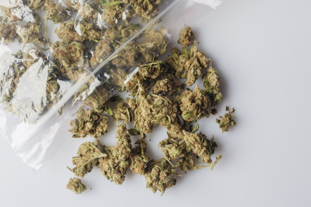 plastic bag of marijuana spilling out