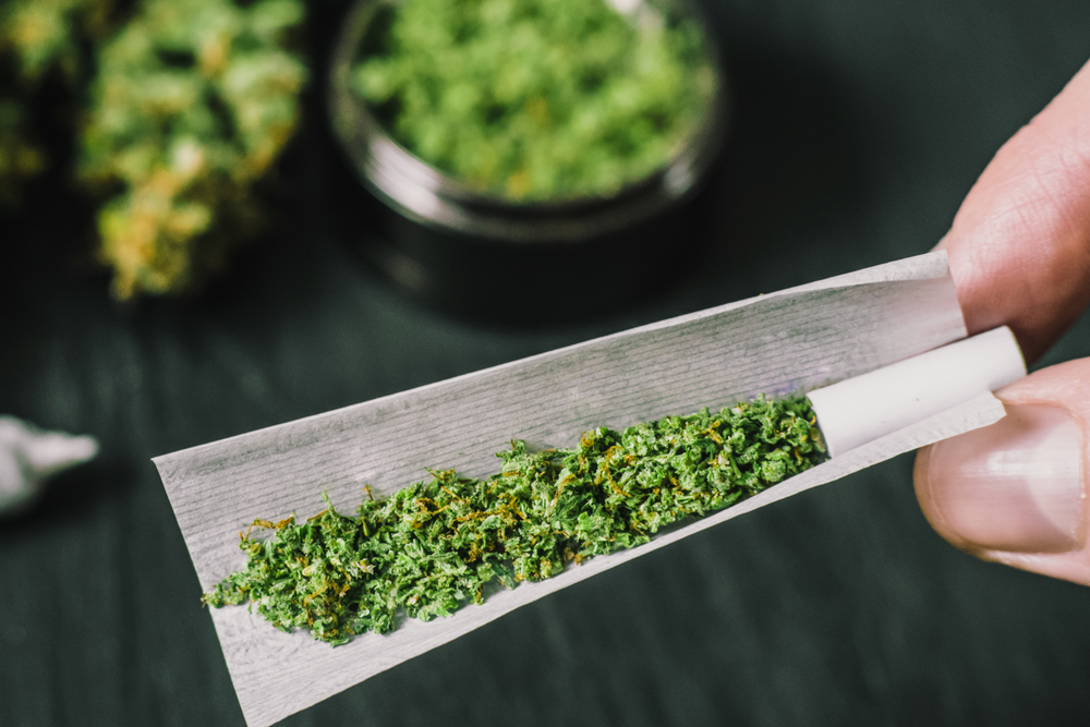 Cone Joints vs. Straight Joints Is There a Difference? Leafbuyer