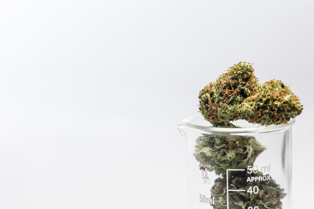 Cannabis Careers What Kind of Marijuana Lab Testing Jobs A Leafbuyer